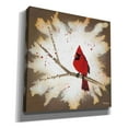 thumbnail image 2 of Epic Graffiti 'Weathered Friends - Cardinal' by Britt Hallowell, Canvas Wall Art, 18"x18", 2 of 3