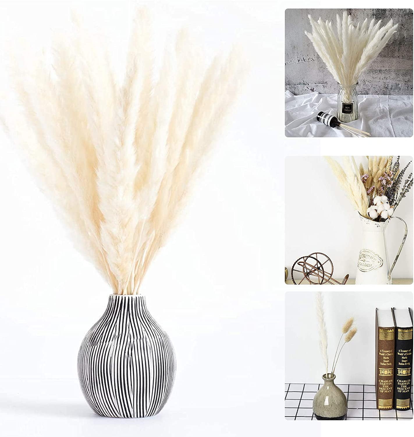 Small Dried Pampas Grass, Phragmites Communis decoration, Natural