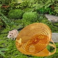 thumbnail image 1 of Rueda de ejercicio para hámster, suministros para mascotas, juguete para hámster, rueda para correr, accesorios para jaulas de animales pequeños, Naranja, 1 of 6