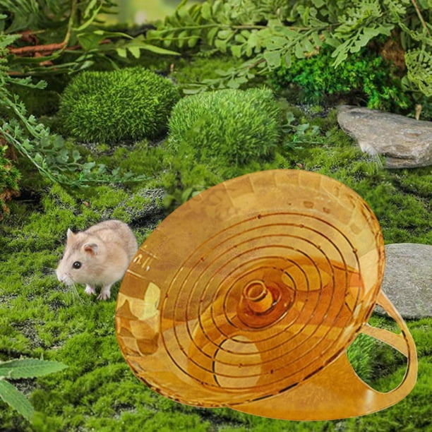 Rueda de ejercicio para hámster con disco giratorio, juguete de actividad para hámster, suministros para mascotas, jaula silenciosa decorativa para Naranja