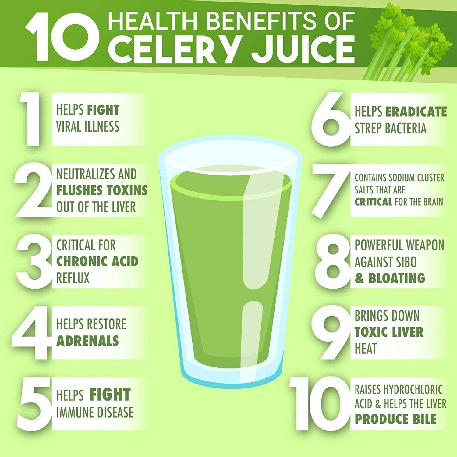 Weight Loss Celery Benefits