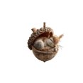 thumbnail image 2 of RKSTN Forest Animal Acorn Decoration 10Cm/4 Inch Acrylic 2D Plane, 2 of 3