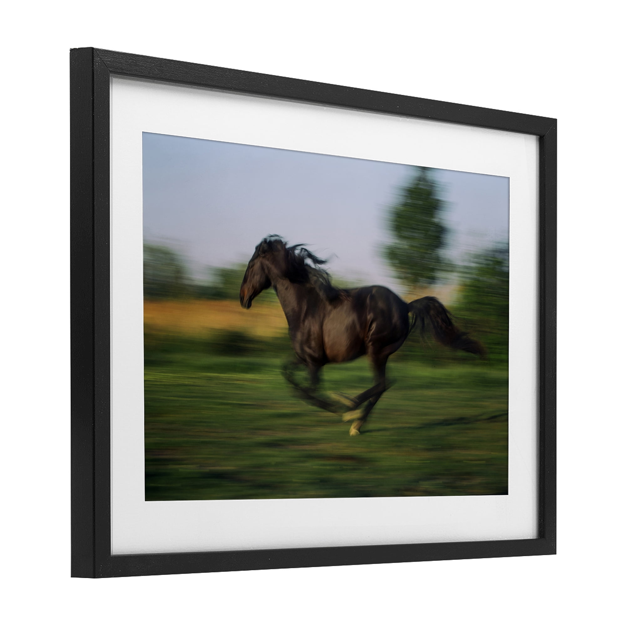 Stupell Industries Dashing Camargue Racehorse Black Framed Print Under Glass, design by Scott Stulberg