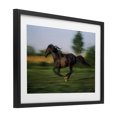 thumbnail image 2 of Stupell Industries Rustic Lodge Dashing Camargue Racehorse Black Framed Print Under Glass, 20 x 14, by Scott Stulberg, 2 of 8