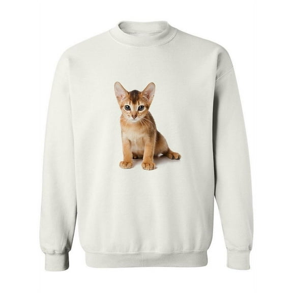 Sweet Abyssinian Kitten Sweatshirt Women -Image by Shutterstock, Female 3X-Large