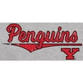 thumbnail image 2 of Men's Ash Youngstown State Penguins American Classic T-Shirt, 2 of 2