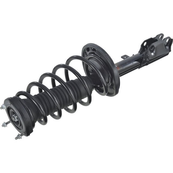 Rear Left Strut and Coil Spring Assembly - Compatible with 2004 - 2006 ES330 3.3L V6 2005