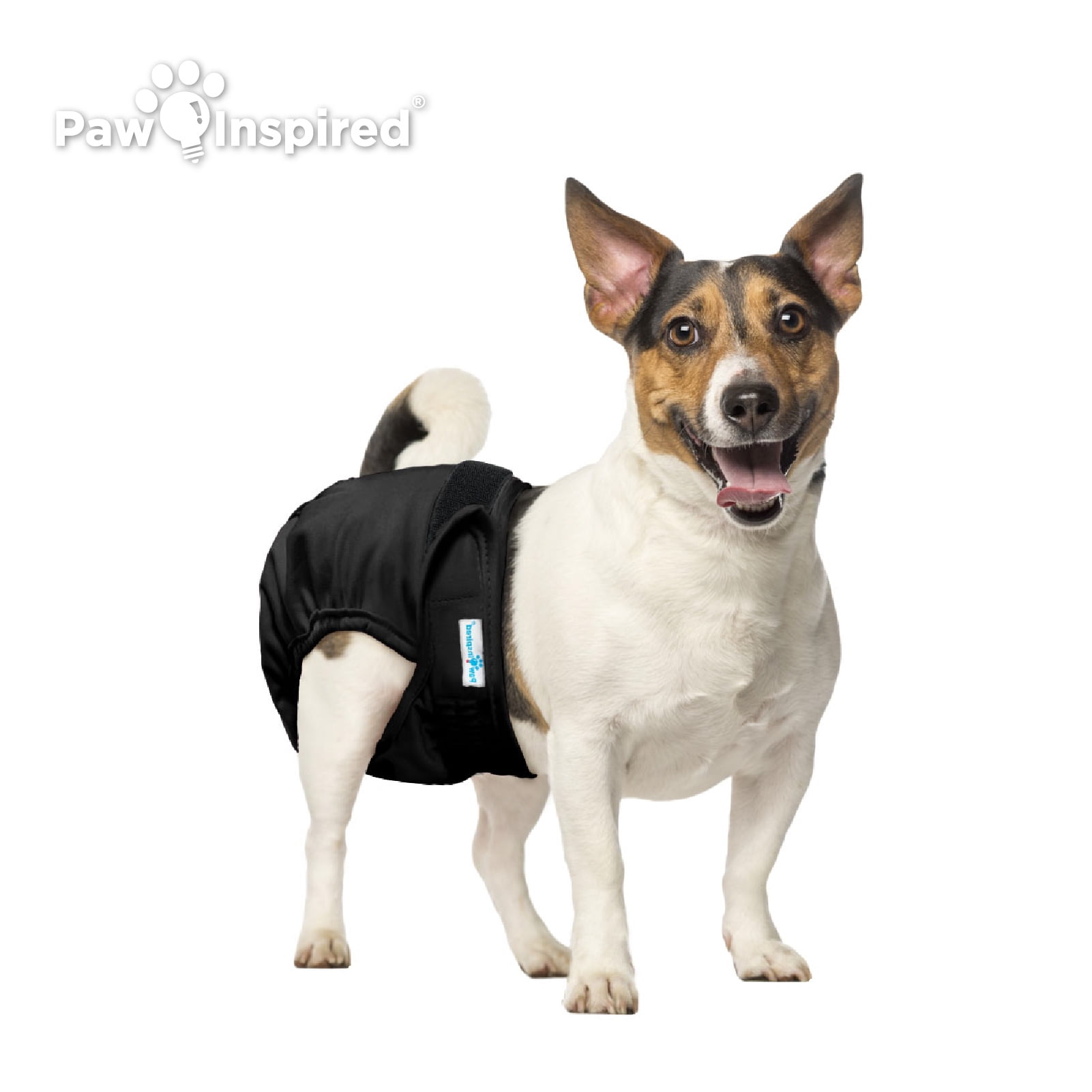 Paw Inspired 3ct Washable Female Dog Diapers, Doggie Doggy Diapers, Puppy Diapers for Female Dog Heat | Reusable Pet Diapers for Female Dogs, Cat Diapers (Black (Black Lining), Small)