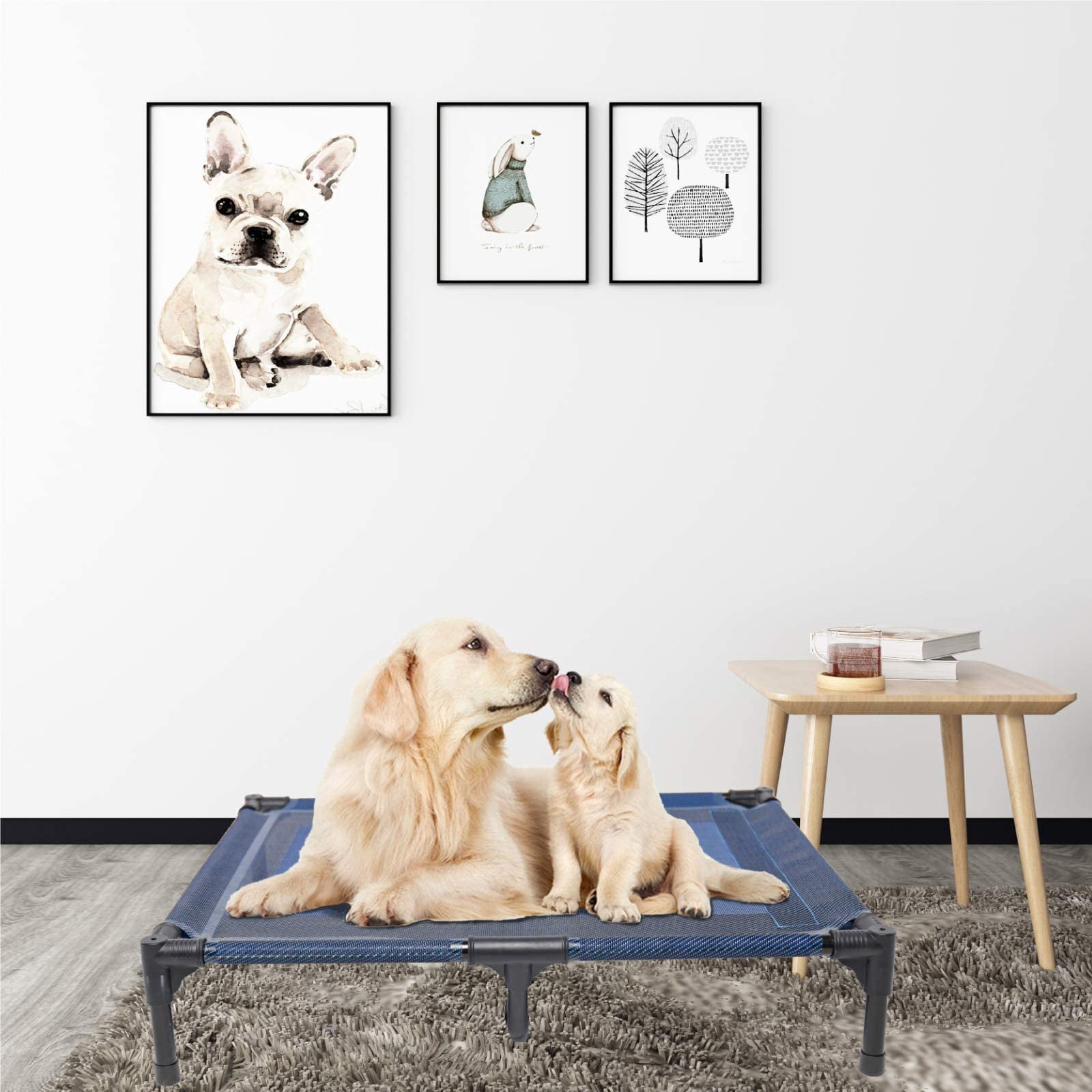 Elevated Dog Bed Waterproof Outdoor  Portable Raised Beds Off The Floor Dogs Easy Clean Indoor Or Use Medium Blue