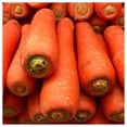 thumbnail image 2 of Everwilde Farms - 1/4 lb Chantenay Red Cored Carrot Seeds - Gold Vault Bulk Seed Packet, 2 of 3