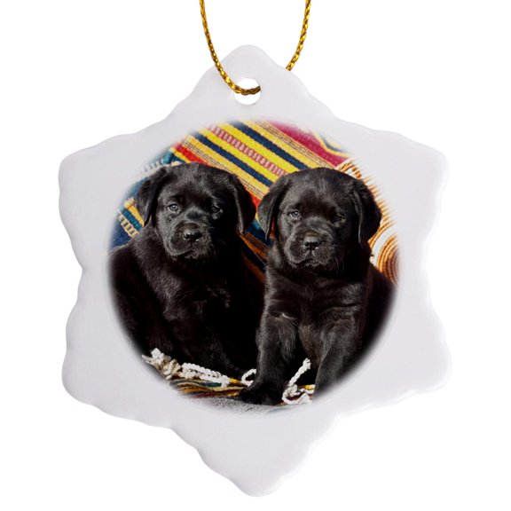 3drose, Two Black Labrador Retriever Dogs - Na02 Zmu0164 - Zandria Muench Beraldo, 3 inch Snowflake Porcelain Ornament