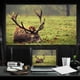 thumbnail image 5 of Portable HD Projector Screen 16:9 Projection Screen Foldable Thick Movie Screen for Outdoor Home Theater, 5 of 5