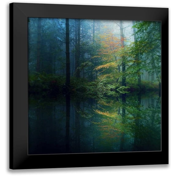 Goncalves, Adelino 12x12 Black Modern Framed Museum Art Print Titled - The Forest