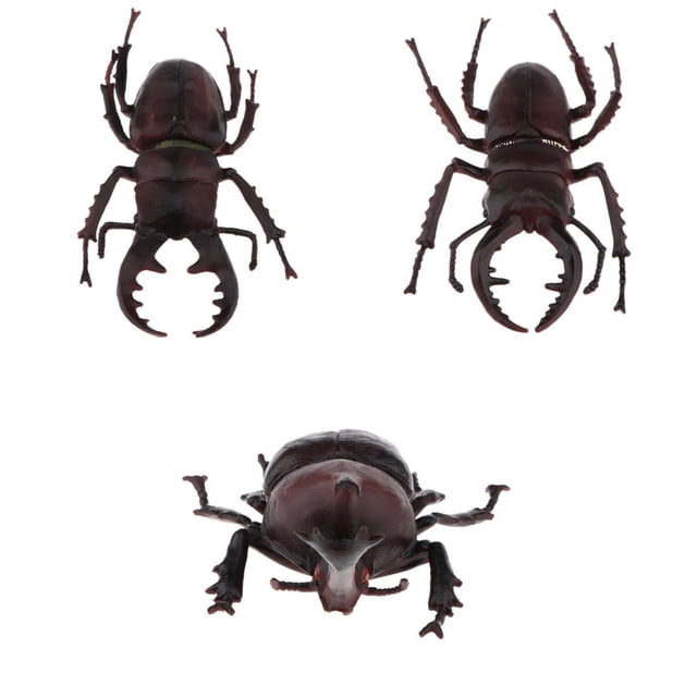 Figuras de Insectos Realistas Sunnimix