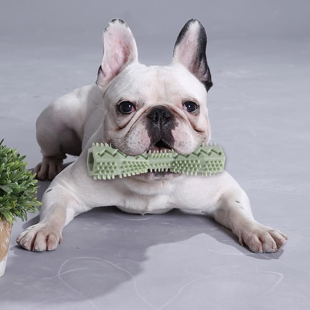 Juguetes para masticar perros TPR Cepillo de dientes para mascotas Limpieza de dientes Palos de cepillado resistentes a mordeduras