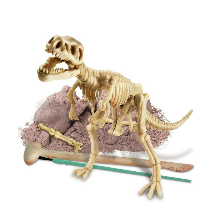 4M Kidzlabs: Determina tono-dinosauro (Tyrannosaurus Rex) / confezione F R A N C A I S, scheletro in un blocco di gesso, scatola 17 x 22 x 6 cm, 8