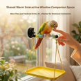 thumbnail image 7 of BASHI Suction Cup Bird Perch Stand for Window Mounting, Bird Travel Companion with Integrated Tray and Feeding Cups, 7 of 7