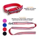 thumbnail image 2 of Juego De Collar Ajustable Y Correa Reflejante Para Perro Med, 2 of 6