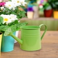 thumbnail image 4 of Watering Can Gardening Tool Accessories, Sprinkling Can 1L Metal Flower Garden Watering Can for Outdoor Indoor Lawn Garden (Green), 4 of 5