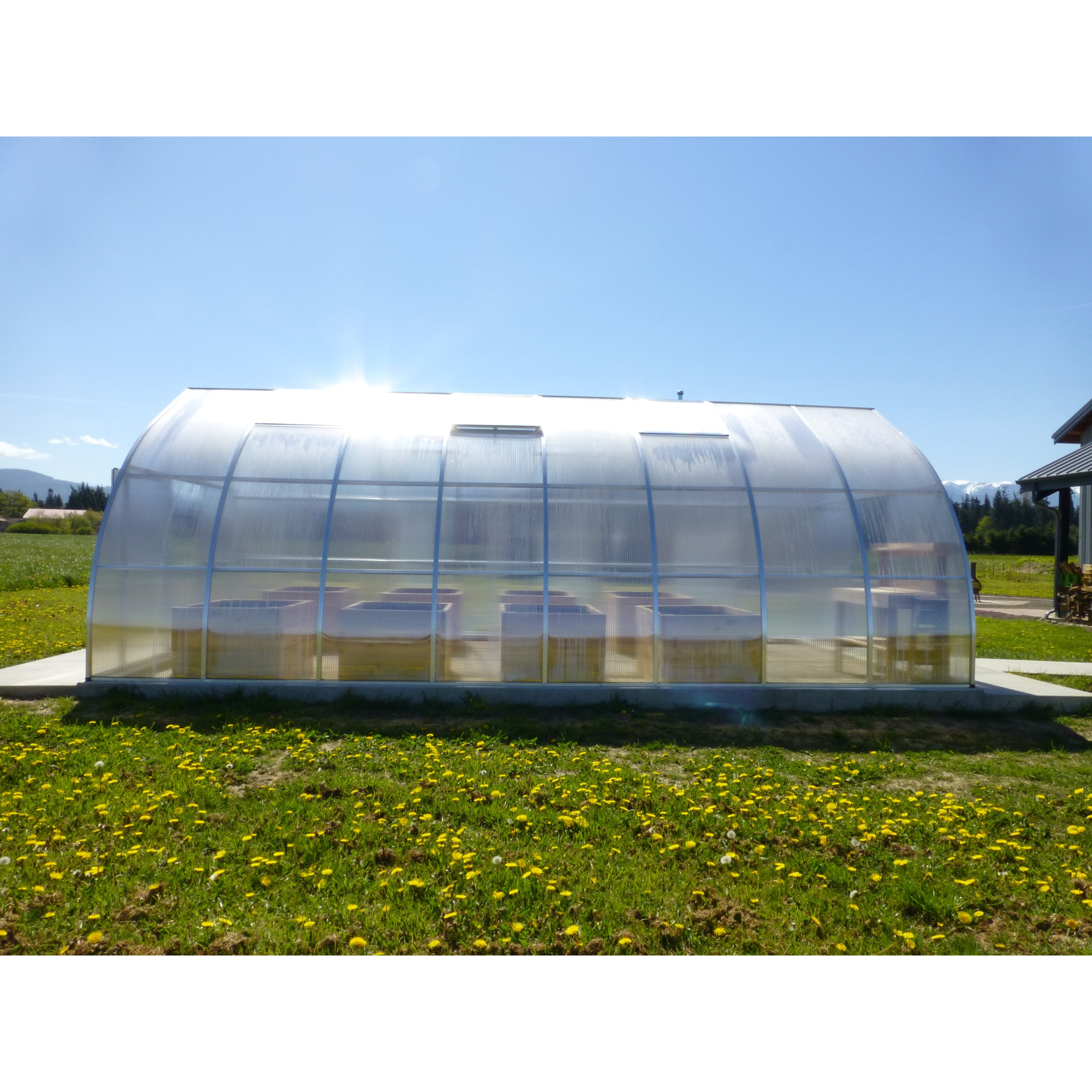 Exaco Riga XL 8 Professional Greenhouse with Foundation Frame