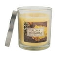 Home Traditions Single Wick Evenly Burning Highly Scented Jar Candle