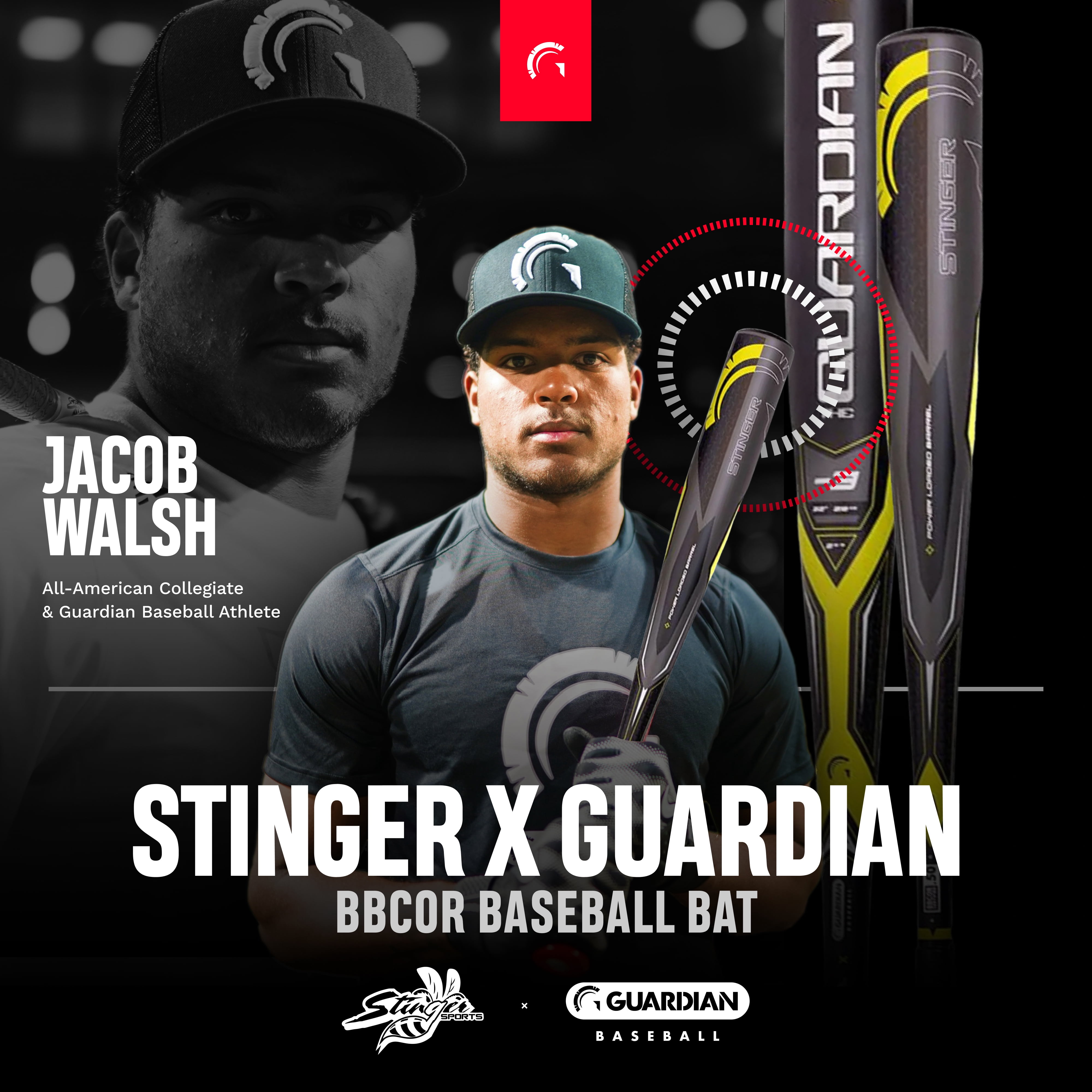 Guardian Baseball X Stinger The Guardian BBCOR 2 5/8" Aluminum Baseball Bat Drop -3