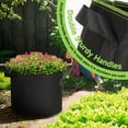 thumbnail image 2 of NUNET Heavy Duty 10 Gallon Plant Grow Bags with Excellent Drainage and Reinforced Handles (10 Count), 2 of 5