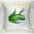 thumbnail image 3 of Green Treefrog Large Indoor/Outdoor Pillow 18x18, 3 of 3