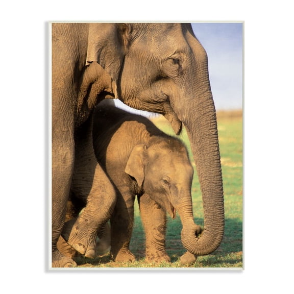 The Stupell Home Decor Collection Elephant Family Mother with Child Wood Wall Art