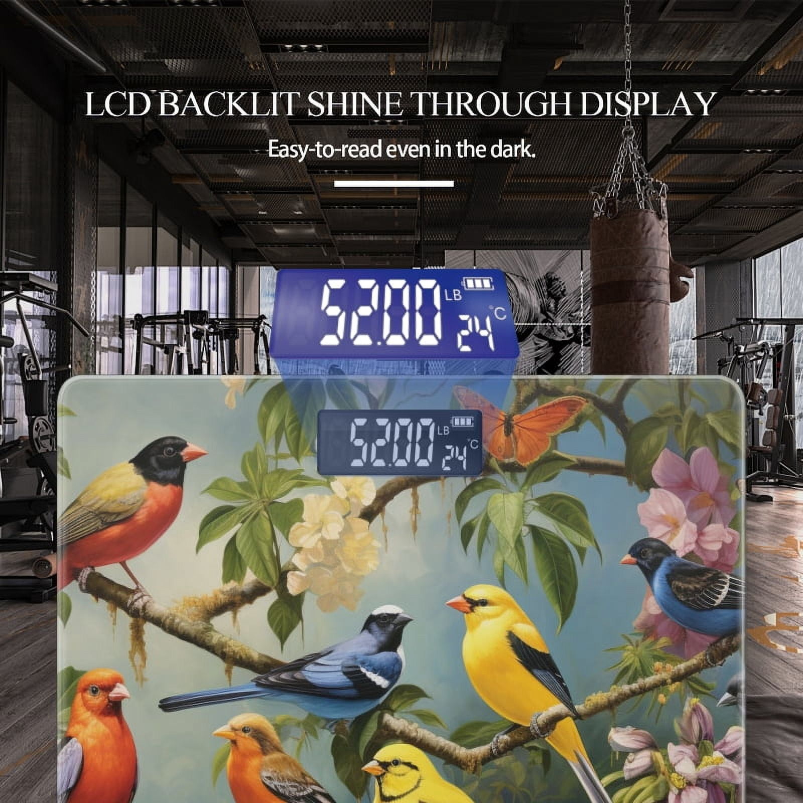Bathroom Scale, Highly Accurate Digital Body Scale,Precisely Measures Weight up to 400 lbs-Group Of Colorful Birds Perched On Branches