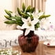 thumbnail image 4 of Gwong Decoración hogareña 3 cabezas Artificial Falso Lily Flowers Bouquet Home Garden Fiesta Decoraciones de Boda Gwong 8107328, 4 of 5
