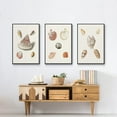 thumbnail image 6 of Pastel Knorr Shells VI - Framed Premium Gallery Wrapped Canvas L Frame 3 Piece Set - Ready to Hang, 6 of 9