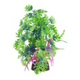 thumbnail image 1 of Decoración de acuario Underwater Treasures Glo Anubias Blue, 1 of 2