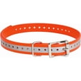 thumbnail image 1 of Brand / Collar Strap, 1 of 7