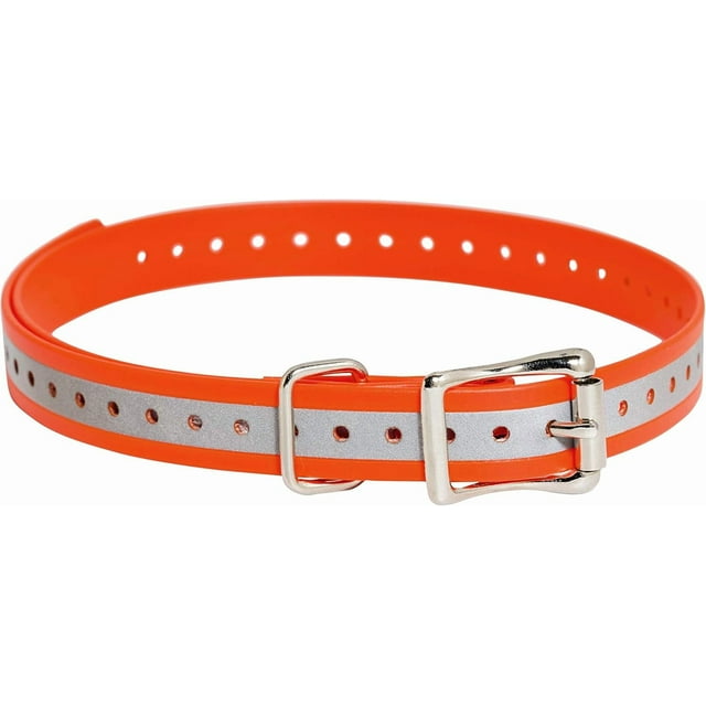 Brand / Collar Strap