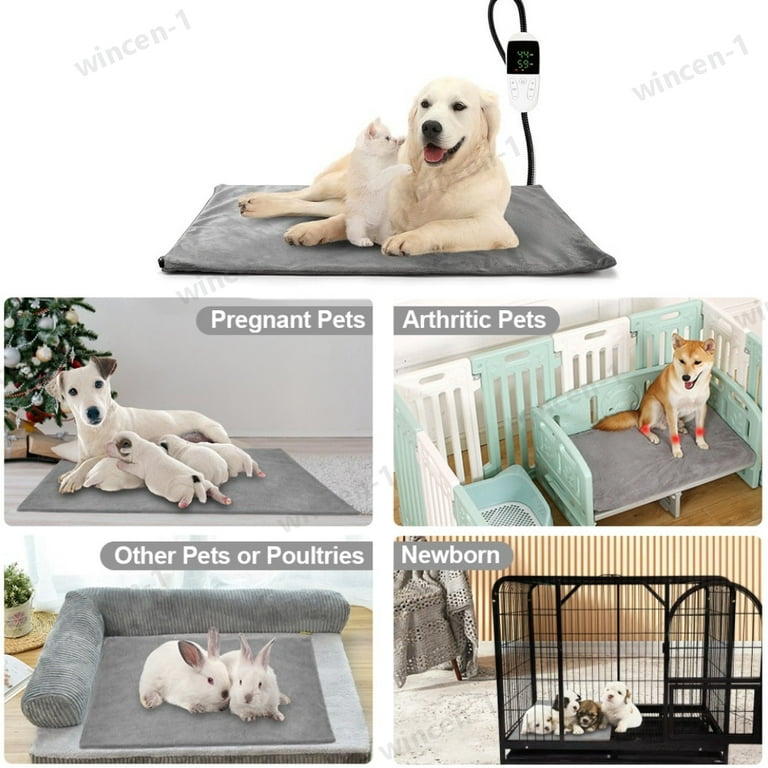 Heated dog beds 2024 for arthritic dogs