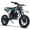 Green, variant on MotoTec Warrior 52cc 2-Stroke Kids Gas Dirt Bike Green
