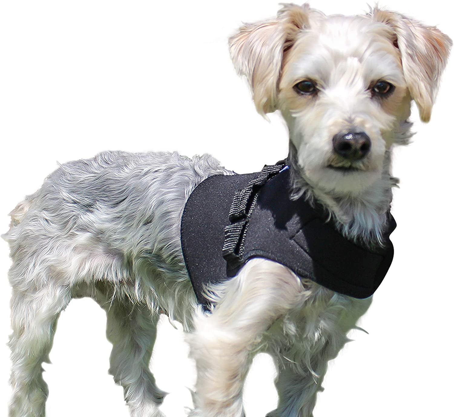 Walkin' Front Dog Vest Harness No Pull Harness Designed for Small