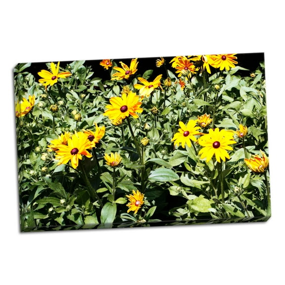 Gango Home Decor Yellow Daisies I by Alan Hausenflock (Ready to Hang); One 36x24in Hand-Stretched Canvas