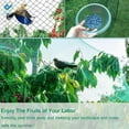 thumbnail image 4 of Deago 16.4Ft x 32.8Ft Anti Bird Netting Pond Green Net Protect Tree Crops Plant Fruit Garden Mesh Reusable Fencing, 4 of 9