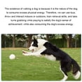 thumbnail image 3 of Xingzhi Pet Balls For Dogs Durable Easy To Clean Interactive Dog Toy Safe Non-Toxic volleyball 1Set, 3 of 6