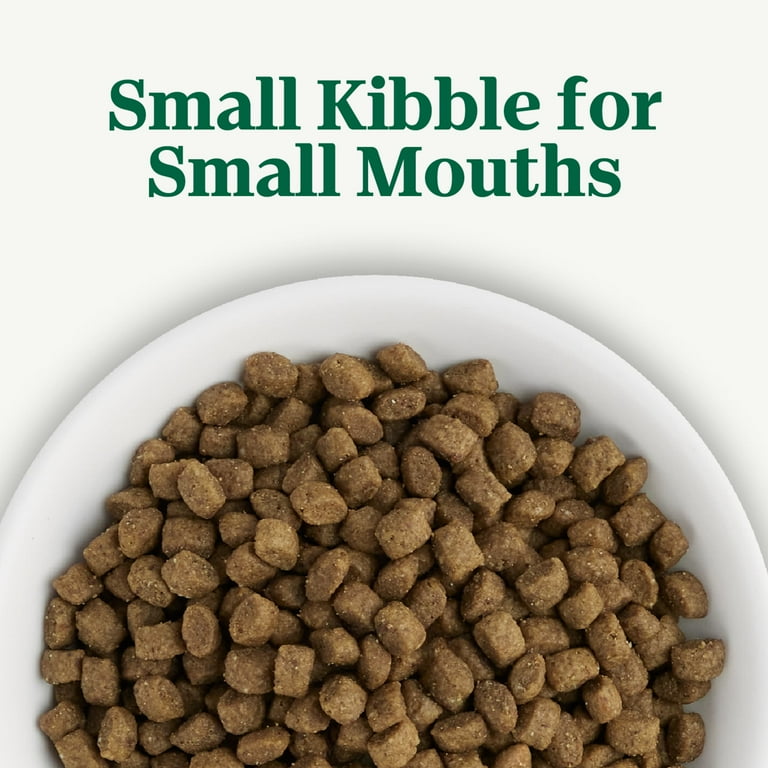 Cat Food Nutro Dog Food Reddit Nutro Cat Food Ingredients Nutro