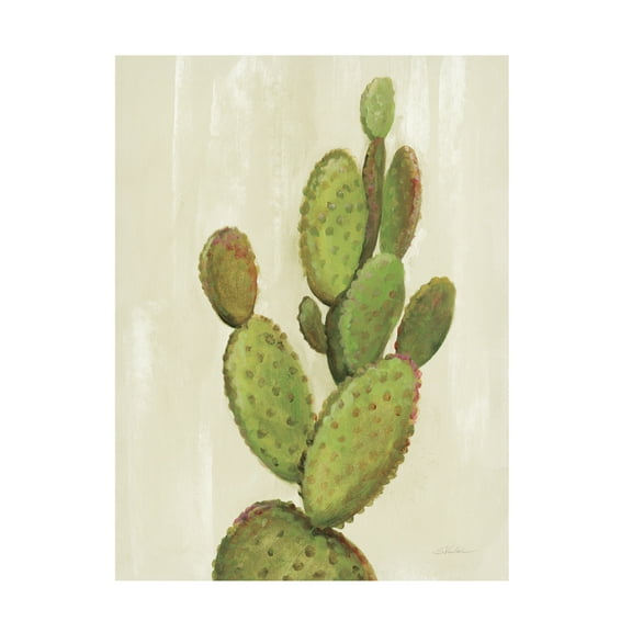 Trademark Fine Art 'Front Yard Cactus I' Canvas Art by Silvia Vassileva