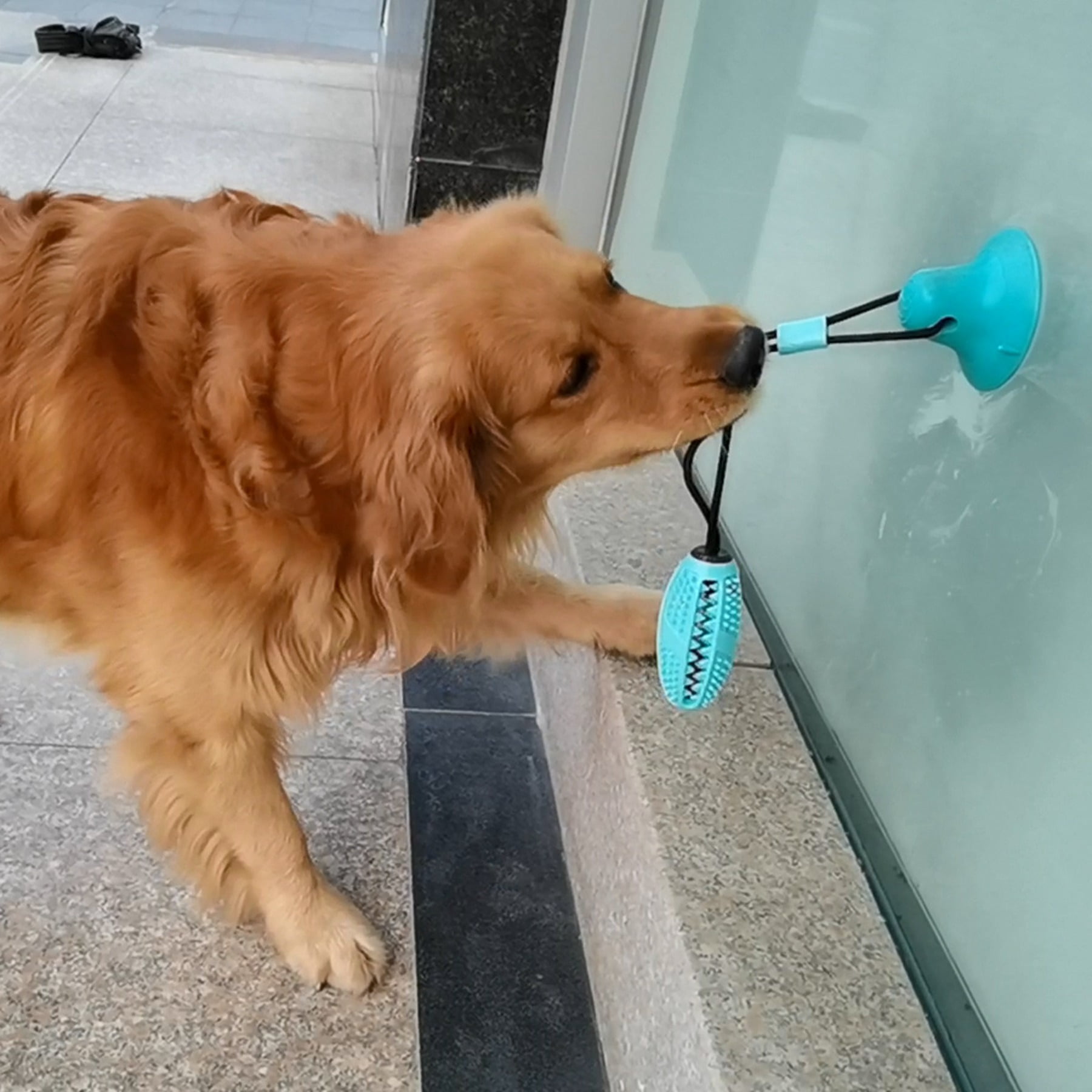 Durable Dog Chew Toy with Sound and Treat Dispenser for Aggressive Chewers Interactive Suction Cup Puppy Teething Ball
