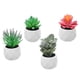 thumbnail image 5 of 4 piezas de suculentas artificiales decorativas para el hogar y la oficina., 5 of 6