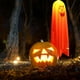 thumbnail image 3 of Fantasmas de luces de Halloween, luces LED, luces colgantes de fantasmas, iluminación para ventanas de fiesta en el jardín de Halloween Adepaton CPB-SSW344-1, 3 of 5
