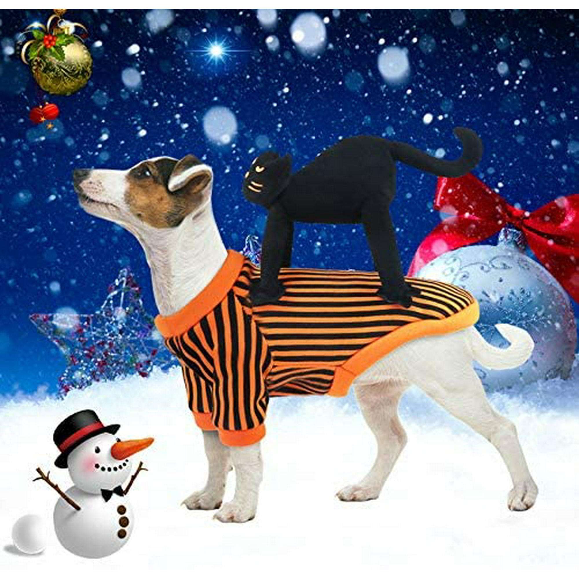 Dog costume suit best sale