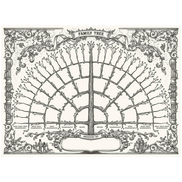Diagrama de abanico del árbol genealógico de 5 generaciones diagrama de abanico del árbol genealógico de 5 generaciones Diagrama del árbol genealógico Vintage Wall Art Canvas ANGGREK Otros