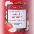 thumbnail image 5 of Colonial Candle Classic Apple AllSpice Scented Candle, 2 Wick, 19 oz, 120 Hours Burn, Warm & Spicy, 5 of 7
