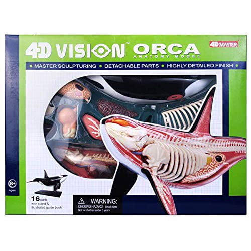 koike さん専用 4Dオルカと馬 2点セット TEDCO 4D Orca Kids Educational Science Activity Kit - Walmart.ca